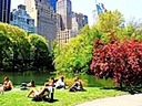 Central Park