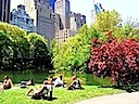 Central Park