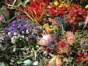 La Rambla de las Flores