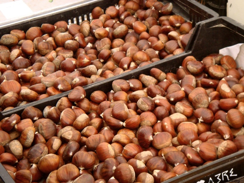 castañas para la castañada