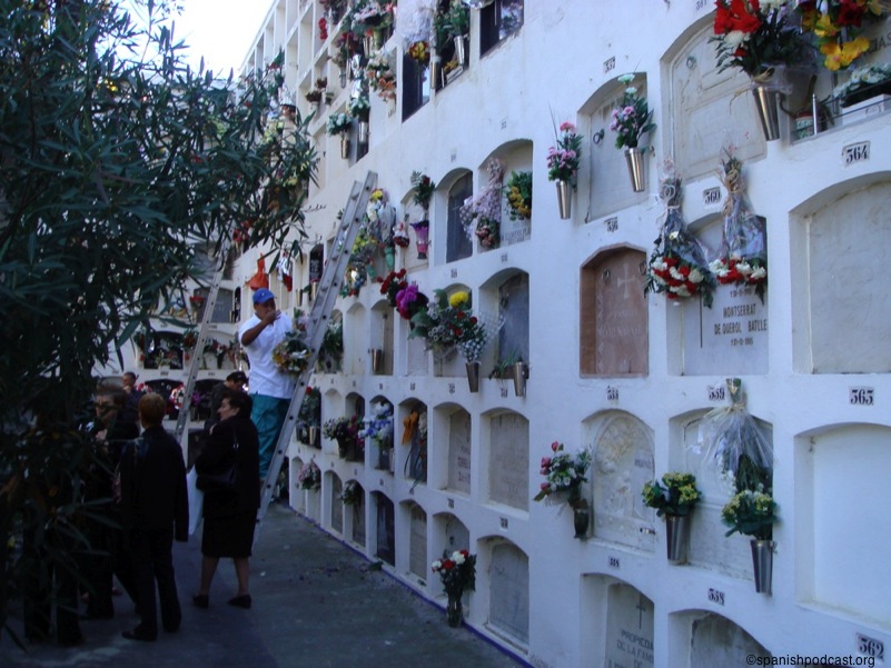 flores en los nichos