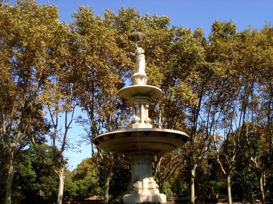 DSC07412