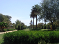 DSC06704.JPG