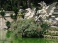 DSC06732.JPG