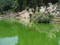 DSC06733.JPG