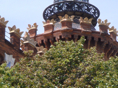 DSC06737.JPG