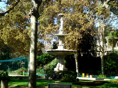 DSC07407