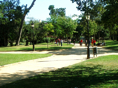 DSC07455
