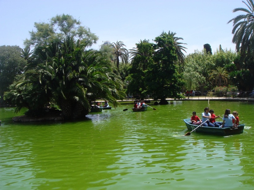 DSC06714.JPG