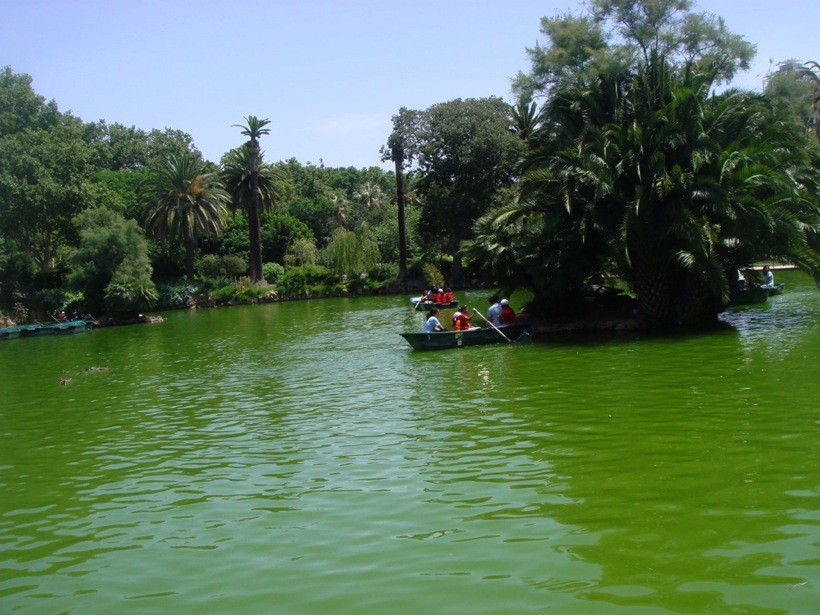 DSC06715.JPG