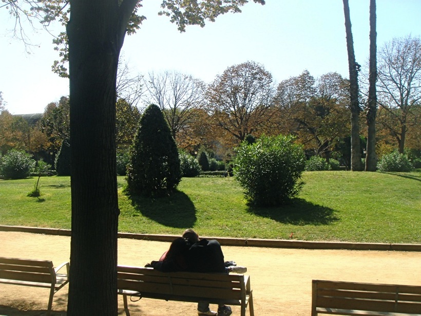 DSC07456