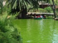 DSC06709.JPG