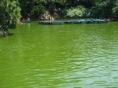 DSC06711.JPG