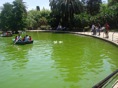 DSC06713.JPG