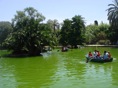 DSC06714.JPG