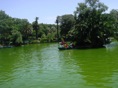 DSC06715.JPG