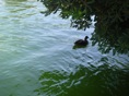 DSC06716.JPG