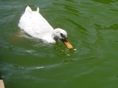 DSC06719.JPG