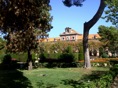 DSC07433.JPG