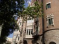 DSC06538