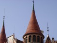 DSC06557