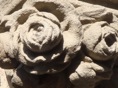 DSC06561