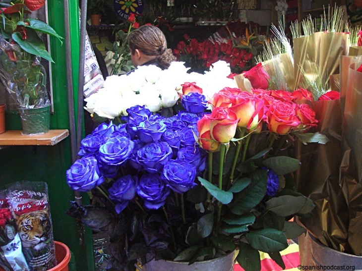 DSC04658.JPG
