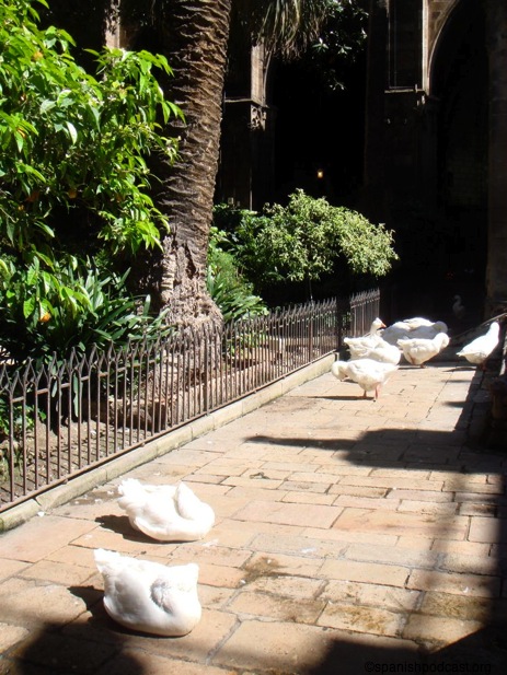 DSC04677.JPG