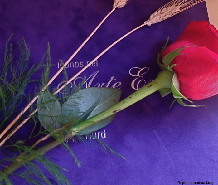 DSC04741.JPG