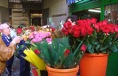 DSC04655.JPG