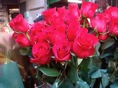 DSC04656.JPG