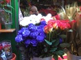 DSC04658.JPG
