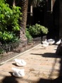 DSC04677.JPG