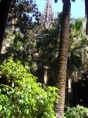 DSC04678.JPG