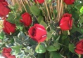 DSC04714.JPG
