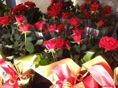 DSC04715.JPG