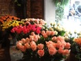 DSC04725
