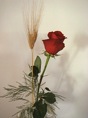 DSC04738.JPG