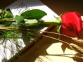 DSC04740.JPG