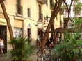 DSC05488.JPG