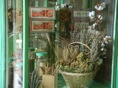 DSC05494.JPG