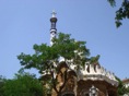 DSC05880