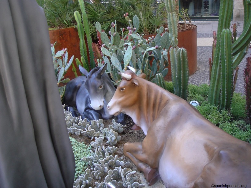 DSC08256.JPG