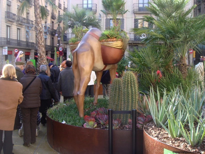 DSC08265.JPG
