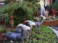 DSC08245.JPG