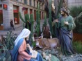 DSC08248.JPG
