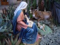 DSC08249.JPG