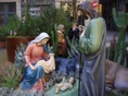 DSC08253.JPG