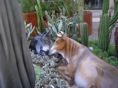 DSC08256.JPG