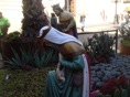 DSC08260.JPG